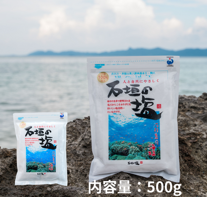 【石垣の塩】石垣島の海水で作った塩【180g・500g】