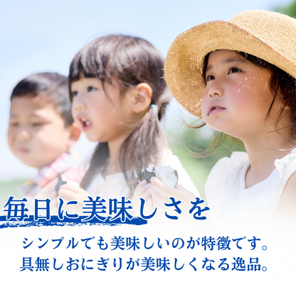 【石垣の塩】石垣島の海水で作った塩【180g・500g】