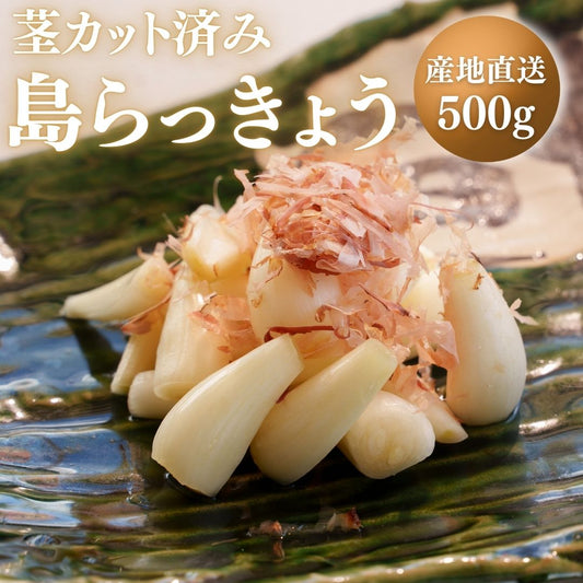 【2026年春出荷予定】茎カット済み島らっきょう【予約先行受付】