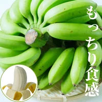 【2026年夏季お届け予約開始！】石垣島産希少島バナナ