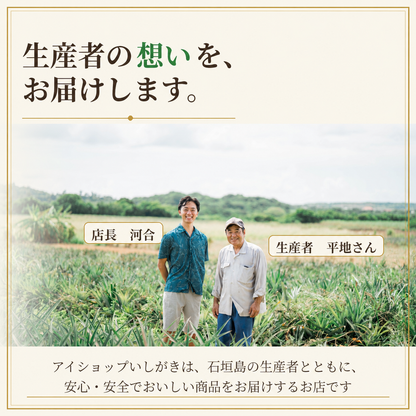 【2026年夏出荷予定】サンドルチェ「予約先行受付」