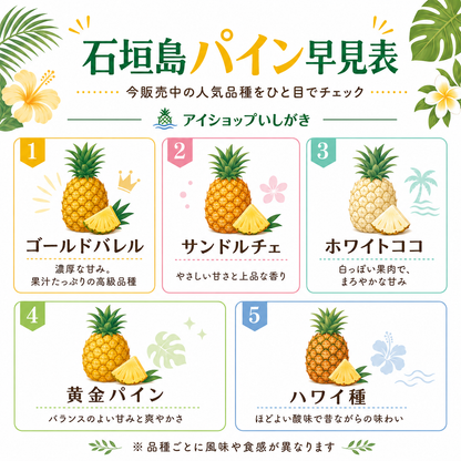 【2026年夏出荷予定】サンドルチェ「予約先行受付」