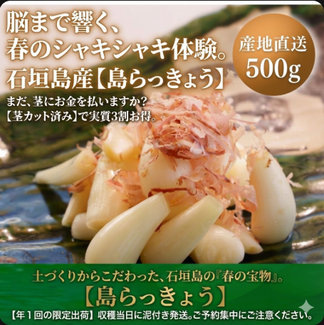 【2026年春出荷予定】シャキシャキ！茎カット済み島らっきょう【予約先行受付】