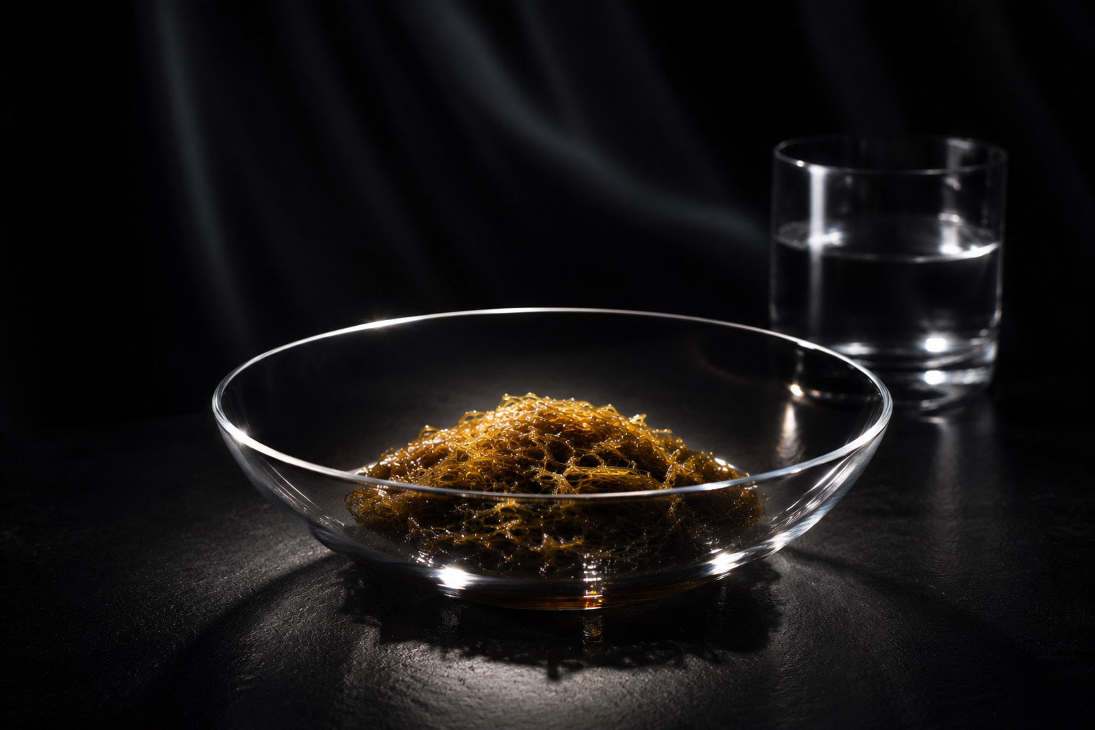 FV Image 4