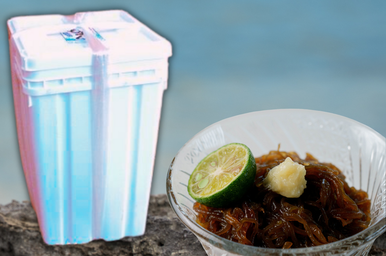 ツルシャキッ!極太の石垣島産養殖もずく【業務用一斗缶】 – i-shop石垣 ツルシャキッ!極太の石垣島産養殖もずく【業務用一斗缶】 – i-shop石垣