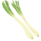 島らっきょう