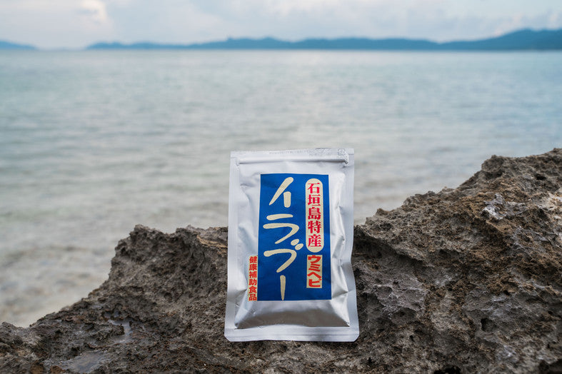 沖縄イラブー通販｜伝統食材をお取り寄せ – アイショップいしがき