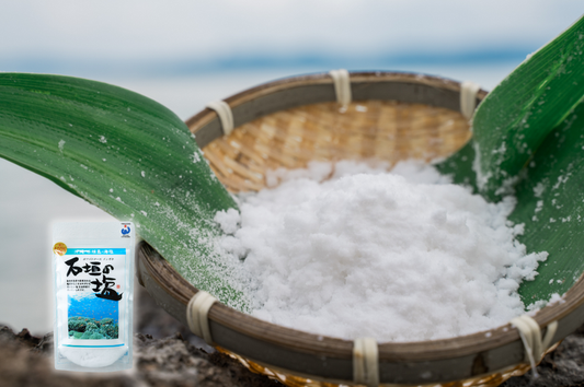 【石垣の塩】石垣島の海水で作った塩【180g・500g】