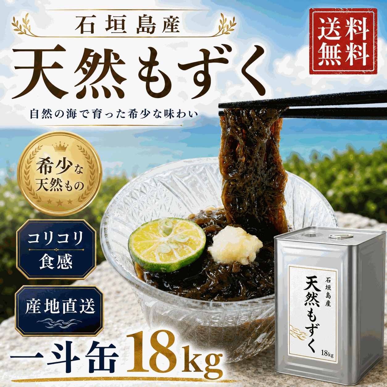 【2026年新もずく】ヌメリたっぷり！幻の石垣島産天然もずく【業務用一斗缶】