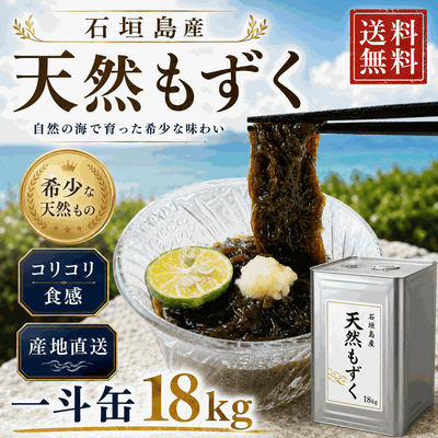 【2026年新もずく】ヌメリたっぷり！幻の石垣島産天然もずく【業務用一斗缶】