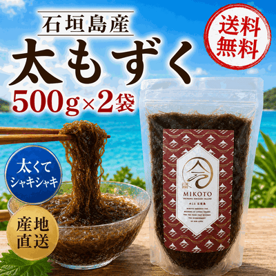 【2026年新もずく】シャキシャキッ！極太の石垣島産養殖もずく【選べる袋タイプ】