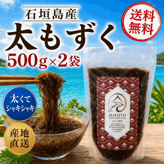 【2026年新もずく】シャキシャキッ！極太の石垣島産養殖もずく【選べる袋タイプ】
